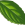 Blatt